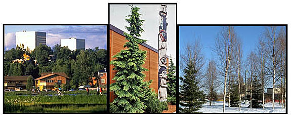 Community Forestry in Alaska